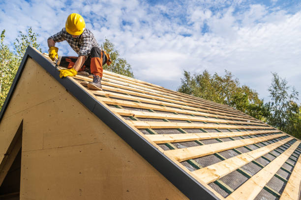 Best Shingle Roofing Installation  in Trafalgar, IN